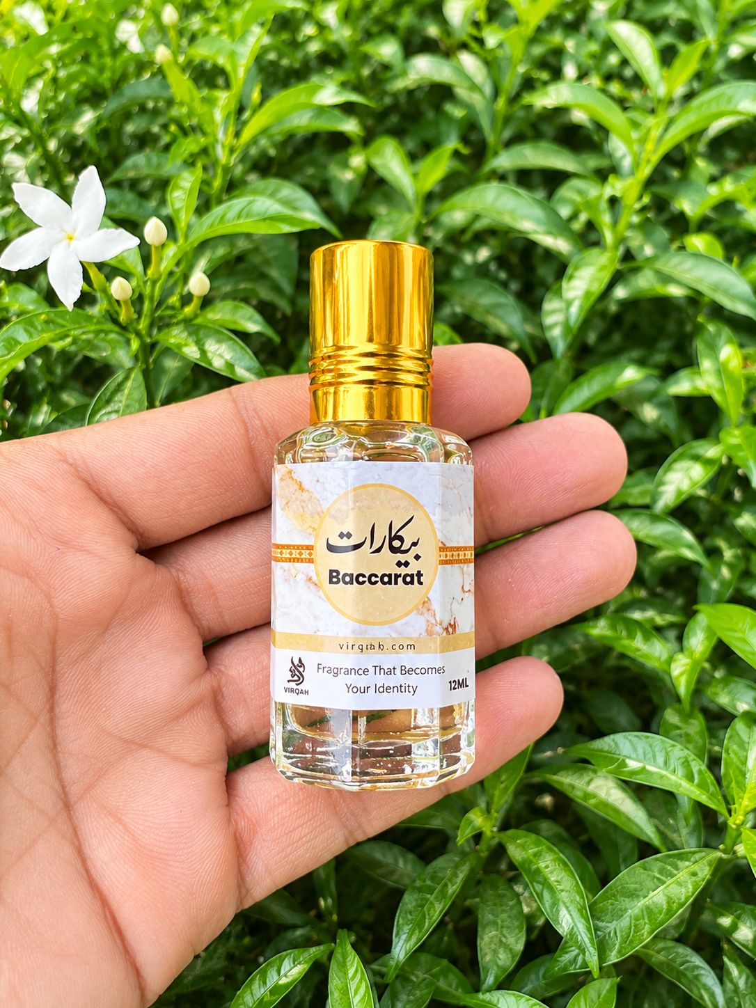 6 Arabic Attar Collection