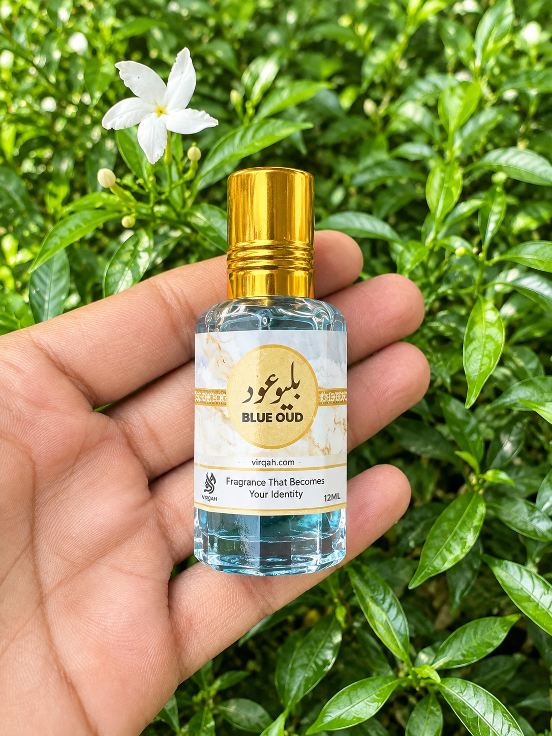 6 Arabic Attar Collection