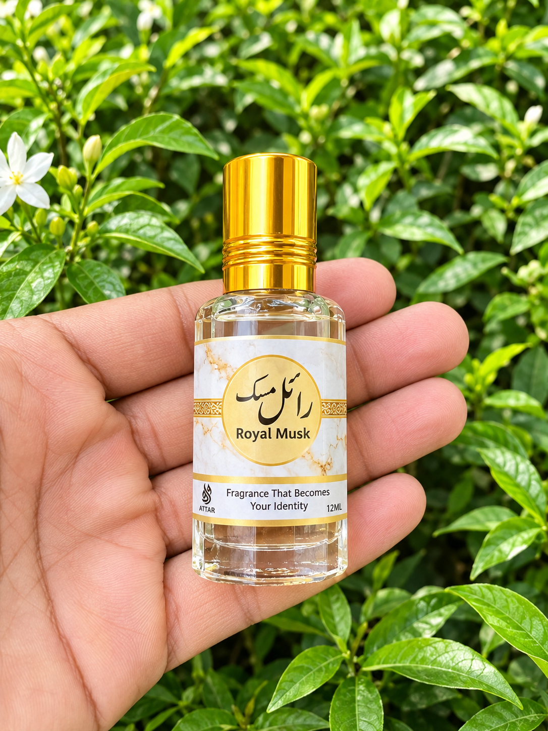 6 Arabic Attar Collection