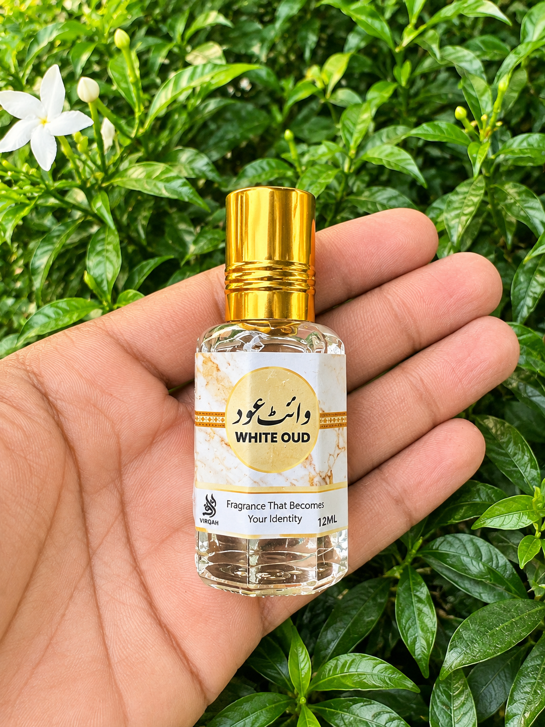 6 Arabic Attar Collection